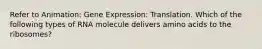 Refer to Animation: Gene Expression: Translation. Which of the following types of RNA molecule delivers amino acids to the ribosomes?