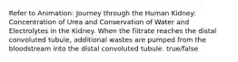 Refer to Animation: Journey through the Human Kidney: Concentration of Urea and Conservation of Water and Electrolytes in the Kidney. When the filtrate reaches the distal convoluted tubule, additional wastes are pumped from the bloodstream into the distal convoluted tubule. true/false