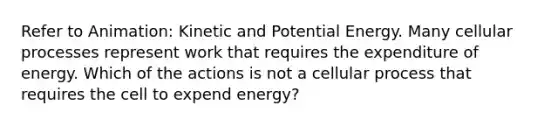 Refer to Animation: Kinetic and Potential Energy. Many cellular processes represent work that requires the expenditure of energy. Which of the actions is not a cellular process that requires the cell to expend energy?