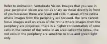 Refer to Animation: Vertebrate Vision. Images that you see in your peripheral vision are not as sharp as those directly in front of you because: there are fewer rod cells in areas of the retina where images from the periphery are focused. the lens cannot focus images well on areas of the retina where images from the periphery are projected. there is a higher concentration of cone cells in the center of the retina in an area called the fovea. the rod cells in the periphery are sensitive to blue and green light only.