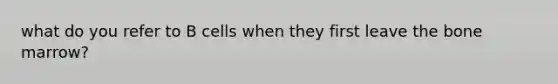 what do you refer to B cells when they first leave the bone marrow?