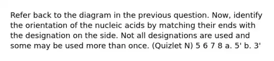 Refer back to the diagram in the previous question. Now, identify the orientation of the nucleic acids by matching their ends with the designation on the side. Not all designations are used and some may be used <a href='https://www.questionai.com/knowledge/keWHlEPx42-more-than' class='anchor-knowledge'>more than</a> once. (Quizlet N) 5 6 7 8 a. 5' b. 3'