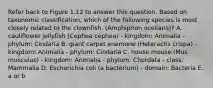 Refer back to Figure 1.12 to answer this question. Based on taxonomic classification, which of the following species is most closely related to the clownfish. (Amphiprion ocellaris)? A. cauliflower jellyfish (Cephea cephea) - kingdom: Animalia - phylum: Cindaria B. giant carpet anemone (Heteractis crispa) - kingdom: Animalia - phylum: Cindaria C. house mouse (Mus musculus) - kingdom: Animalia - phylum: Chordata - class: Mammalia D. Escherichia coli (a bacterium) - domain: Bacteria E. a or b