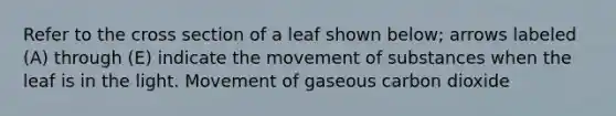 Refer to the cross section of a leaf shown below; arrows labeled (A) through (E) indicate the <a href='https://www.questionai.com/knowledge/kPg59iw1QI-movement-of-substances' class='anchor-knowledge'>movement of substances</a> when the leaf is in the light. Movement of gaseous carbon dioxide