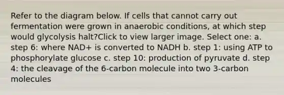 Refer to the diagram below. If cells that cannot carry out fermentation were grown in anaerobic conditions, at which step would glycolysis halt?Click to view larger image. Select one: a. step 6: where NAD+ is converted to NADH b. step 1: using ATP to phosphorylate glucose c. step 10: production of pyruvate d. step 4: the cleavage of the 6-carbon molecule into two 3-carbon molecules