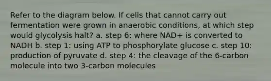 Refer to the diagram below. If cells that cannot carry out fermentation were grown in anaerobic conditions, at which step would glycolysis halt? a. step 6: where NAD+ is converted to NADH b. step 1: using ATP to phosphorylate glucose c. step 10: production of pyruvate d. step 4: the cleavage of the 6-carbon molecule into two 3-carbon molecules