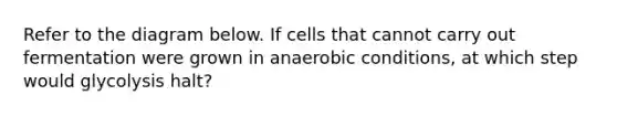 Refer to the diagram below. If cells that cannot carry out fermentation were grown in anaerobic conditions, at which step would glycolysis halt?