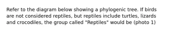 Refer to the diagram below showing a phylogenic tree. If birds are not considered reptiles, but reptiles include turtles, lizards and crocodiles, the group called "Reptiles" would be (photo 1)