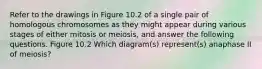 Refer to the drawings in Figure 10.2 of a single pair of homologous chromosomes as they might appear during various stages of either mitosis or meiosis, and answer the following questions. Figure 10.2 Which diagram(s) represent(s) anaphase II of meiosis?