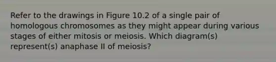 Refer to the drawings in Figure 10.2 of a single pair of homologous chromosomes as they might appear during various stages of either mitosis or meiosis. Which diagram(s) represent(s) anaphase II of meiosis?