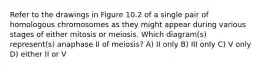 Refer to the drawings in Figure 10.2 of a single pair of homologous chromosomes as they might appear during various stages of either mitosis or meiosis. Which diagram(s) represent(s) anaphase II of meiosis? A) II only B) III only C) V only D) either II or V