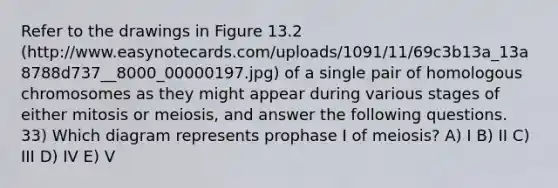 Refer to the drawings in Figure 13.2 (http://www.easynotecards.com/uploads/1091/11/69c3b13a_13a8788d737__8000_00000197.jpg) of a single pair of homologous chromosomes as they might appear during various stages of either mitosis or meiosis, and answer the following questions. 33) Which diagram represents prophase I of meiosis? A) I B) II C) III D) IV E) V