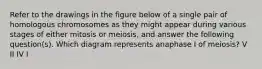 Refer to the drawings in the figure below of a single pair of homologous chromosomes as they might appear during various stages of either mitosis or meiosis, and answer the following question(s). Which diagram represents anaphase I of meiosis? V II IV I