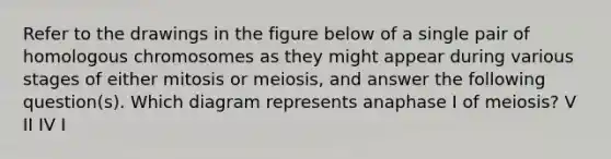 Refer to the drawings in the figure below of a single pair of homologous chromosomes as they might appear during various stages of either mitosis or meiosis, and answer the following question(s). Which diagram represents anaphase I of meiosis? V II IV I