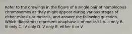 Refer to the drawings in the figure of a single pair of homologous chromosomes as they might appear during various stages of either mitosis or meiosis, and answer the following question. Which diagram(s) represent anaphase II of meiosis? A. II only B. III only C. IV only D. V only E. either II or V