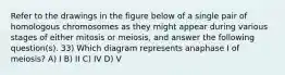 Refer to the drawings in the figure below of a single pair of homologous chromosomes as they might appear during various stages of either mitosis or meiosis, and answer the following question(s). 33) Which diagram represents anaphase I of meiosis? A) I B) II C) IV D) V