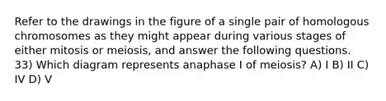 Refer to the drawings in the figure of a single pair of homologous chromosomes as they might appear during various stages of either mitosis or meiosis, and answer the following questions. 33) Which diagram represents anaphase I of meiosis? A) I B) II C) IV D) V