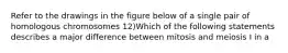 Refer to the drawings in the figure below of a single pair of homologous chromosomes 12)Which of the following statements describes a major difference between mitosis and meiosis I in a