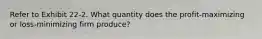 Refer to Exhibit 22-2. What quantity does the profit-maximizing or loss-minimizing firm produce?