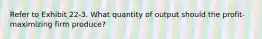 Refer to Exhibit 22-3. What quantity of output should the profit-maximizing firm produce?