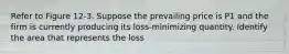 Refer to Figure 12-3. Suppose the prevailing price is P1 and the firm is currently producing its loss-minimizing quantity. Identify the area that represents the loss