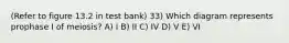 (Refer to figure 13.2 in test bank) 33) Which diagram represents prophase I of meiosis? A) I B) II C) IV D) V E) VI