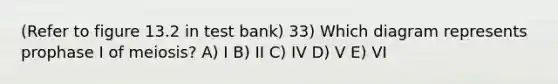 (Refer to figure 13.2 in test bank) 33) Which diagram represents prophase I of meiosis? A) I B) II C) IV D) V E) VI