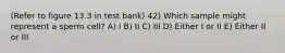 (Refer to figure 13.3 in test bank) 42) Which sample might represent a sperm cell? A) I B) II C) III D) Either I or II E) Either II or III