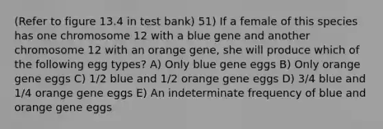 (Refer to figure 13.4 in test bank) 51) If a female of this species has one chromosome 12 with a blue gene and another chromosome 12 with an orange gene, she will produce which of the following egg types? A) Only blue gene eggs B) Only orange gene eggs C) 1/2 blue and 1/2 orange gene eggs D) 3/4 blue and 1/4 orange gene eggs E) An indeterminate frequency of blue and orange gene eggs