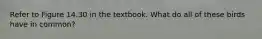 Refer to Figure 14.30 in the textbook. What do all of these birds have in common?