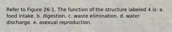 Refer to Figure 26-1. The function of the structure labeled 4 is: a. food intake. b. digestion. c. waste elimination. d. water discharge. e. asexual reproduction.