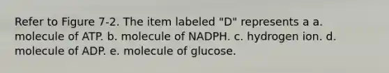 Refer to Figure 7-2. The item labeled "D" represents a a. molecule of ATP. b. molecule of NADPH. c. hydrogen ion. d. molecule of ADP. e. molecule of glucose.