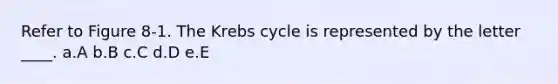 Refer to Figure 8-1. The Krebs cycle is represented by the letter ____. a.A b.B c.C d.D e.E