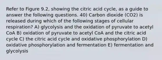 Refer to Figure 9.2, showing the citric acid cycle, as a guide to answer the following questions. 40) Carbon dioxide (CO2) is released during which of the following stages of cellular respiration? A) glycolysis and the oxidation of pyruvate to acetyl CoA B) oxidation of pyruvate to acetyl CoA and the citric acid cycle C) the citric acid cycle and oxidative phosphorylation D) oxidative phosphorylation and fermentation E) fermentation and glycolysis