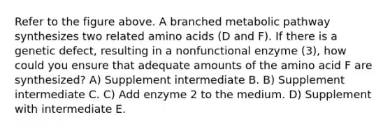 Refer to the figure above. A branched metabolic pathway synthesizes two related <a href='https://www.questionai.com/knowledge/k9gb720LCl-amino-acids' class='anchor-knowledge'>amino acids</a> (D and F). If there is a genetic defect, resulting in a nonfunctional enzyme (3), how could you ensure that adequate amounts of the amino acid F are synthesized? A) Supplement intermediate B. B) Supplement intermediate C. C) Add enzyme 2 to the medium. D) Supplement with intermediate E.