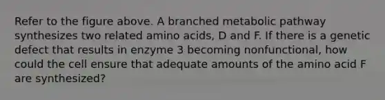 Refer to the figure above. A branched metabolic pathway synthesizes two related amino acids, D and F. If there is a genetic defect that results in enzyme 3 becoming nonfunctional, how could the cell ensure that adequate amounts of the amino acid F are synthesized?