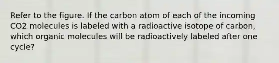 Refer to the figure. If the carbon atom of each of the incoming CO2 molecules is labeled with a radioactive isotope of carbon, which organic molecules will be radioactively labeled after one cycle?