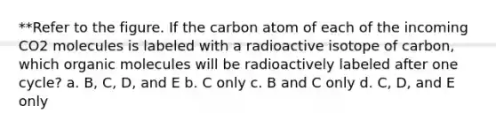 **Refer to the figure. If the carbon atom of each of the incoming CO2 molecules is labeled with a radioactive isotope of carbon, which organic molecules will be radioactively labeled after one cycle? a. B, C, D, and E b. C only c. B and C only d. C, D, and E only