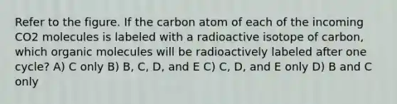 Refer to the figure. If the carbon atom of each of the incoming CO2 molecules is labeled with a radioactive isotope of carbon, which organic molecules will be radioactively labeled after one cycle? A) C only B) B, C, D, and E C) C, D, and E only D) B and C only