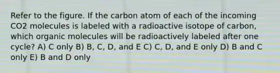 Refer to the figure. If the carbon atom of each of the incoming CO2 molecules is labeled with a radioactive isotope of carbon, which <a href='https://www.questionai.com/knowledge/kjUwUacPFG-organic-molecules' class='anchor-knowledge'>organic molecules</a> will be radioactively labeled after one cycle? A) C only B) B, C, D, and E C) C, D, and E only D) B and C only E) B and D only