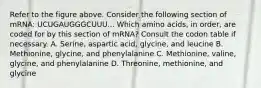 Refer to the figure above. Consider the following section of mRNA: UCUGAUGGGCUUU... Which amino acids, in order, are coded for by this section of mRNA? Consult the codon table if necessary. A. Serine, aspartic acid, glycine, and leucine B. Methionine, glycine, and phenylalanine C. Methionine, valine, glycine, and phenylalanine D. Threonine, methionine, and glycine