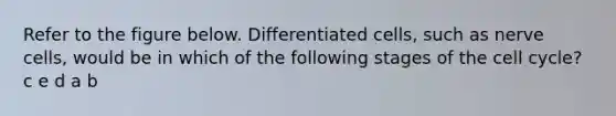 Refer to the figure below. Differentiated cells, such as nerve cells, would be in which of the following stages of the cell cycle? c e d a b