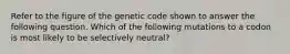 Refer to the figure of the genetic code shown to answer the following question. Which of the following mutations to a codon is most likely to be selectively neutral?