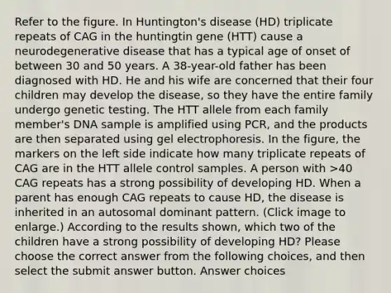 Refer to the figure. In Huntington's disease (HD) triplicate repeats of CAG in the huntingtin gene (HTT) cause a neurodegenerative disease that has a typical age of onset of between 30 and 50 years. A 38-year-old father has been diagnosed with HD. He and his wife are concerned that their four children may develop the disease, so they have the entire family undergo genetic testing. The HTT allele from each family member's DNA sample is amplified using PCR, and the products are then separated using gel electrophoresis. In the figure, the markers on the left side indicate how many triplicate repeats of CAG are in the HTT allele control samples. A person with >40 CAG repeats has a strong possibility of developing HD. When a parent has enough CAG repeats to cause HD, the disease is inherited in an autosomal dominant pattern. (Click image to enlarge.) According to the results shown, which two of the children have a strong possibility of developing HD? Please choose the correct answer from the following choices, and then select the submit answer button. Answer choices