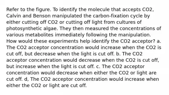 Refer to the figure. To identify the molecule that accepts CO2, Calvin and Benson manipulated the carbon-fixation cycle by either cutting off CO2 or cutting off light from cultures of photosynthetic algae. They then measured the concentrations of various metabolites immediately following the manipulation. How would these experiments help identify the CO2 acceptor? a. The CO2 acceptor concentration would increase when the CO2 is cut off, but decrease when the light is cut off. b. The CO2 acceptor concentration would decrease when the CO2 is cut off, but increase when the light is cut off. c. The CO2 acceptor concentration would decrease when either the CO2 or light are cut off. d, The CO2 acceptor concentration would increase when either the CO2 or light are cut off.