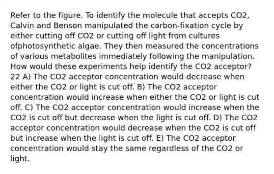 Refer to the figure. To identify the molecule that accepts CO2, Calvin and Benson manipulated the carbon-fixation cycle by either cutting off CO2 or cutting off light from cultures ofphotosynthetic algae. They then measured the concentrations of various metabolites immediately following the manipulation. How would these experiments help identify the CO2 acceptor? 22 A) The CO2 acceptor concentration would decrease when either the CO2 or light is cut off. B) The CO2 acceptor concentration would increase when either the CO2 or light is cut off. C) The CO2 acceptor concentration would increase when the CO2 is cut off but decrease when the light is cut off. D) The CO2 acceptor concentration would decrease when the CO2 is cut off but increase when the light is cut off. E) The CO2 acceptor concentration would stay the same regardless of the CO2 or light.