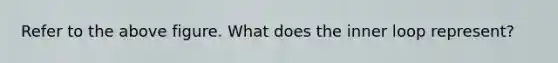 Refer to the above figure. What does the inner loop represent?
