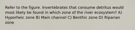 Refer to the figure. Invertebrates that consume detritus would most likely be found in which zone of the river ecosystem? A) Hyporheic zone B) Main channel C) Benthic zone D) Riparian zone