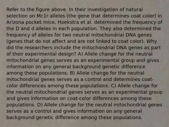 Refer to the figure above. In their investigation of natural selection on Mc1r alleles (the gene that determines coat color) in Arizona pocket mice, Hoekstra et al. determined the frequency of the D and d alleles in each population. They also determined the frequency of alleles for two neutral mitochondrial DNA genes (genes that do not affect and are not linked to coat color). Why did the researchers include the mitochondrial DNA genes as part of their experimental design? A) Allele change for the neutral mitochondrial genes serves as an experimental group and gives information on any general background genetic difference among these populations. B) Allele change for the neutral mitochondrial genes serves as a control and determines coat- color differences among these populations. C) Allele change for the neutral mitochondrial genes serves as an experimental group and gives information on coat-color differences among these populations. D) Allele change for the neutral mitochondrial genes serves as a control and gives information on any general background genetic difference among these populations.