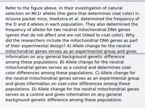 Refer to the figure above. In their investigation of natural selection on Mc1r alleles (the gene that determines coat color) in Arizona pocket mice, Hoekstra et al. determined the frequency of the D and d alleles in each population. They also determined the frequency of alleles for two neutral mitochondrial DNA genes (genes that do not affect and are not linked to coat color). Why did the researchers include the mitochondrial DNA genes as part of their experimental design? A) Allele change for the neutral mitochondrial genes serves as an experimental group and gives information on any general background genetic difference among these populations. B) Allele change for the neutral mitochondrial genes serves as a control and determines coat-color differences among these populations. C) Allele change for the neutral mitochondrial genes serves as an experimental group and gives information on coat-color differences among these populations. D) Allele change for the neutral mitochondrial genes serves as a control and gives information on any general background genetic difference among these populations.